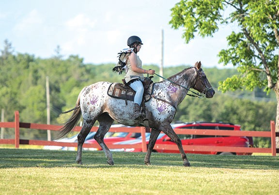 Wildwood Stables Horse Parade